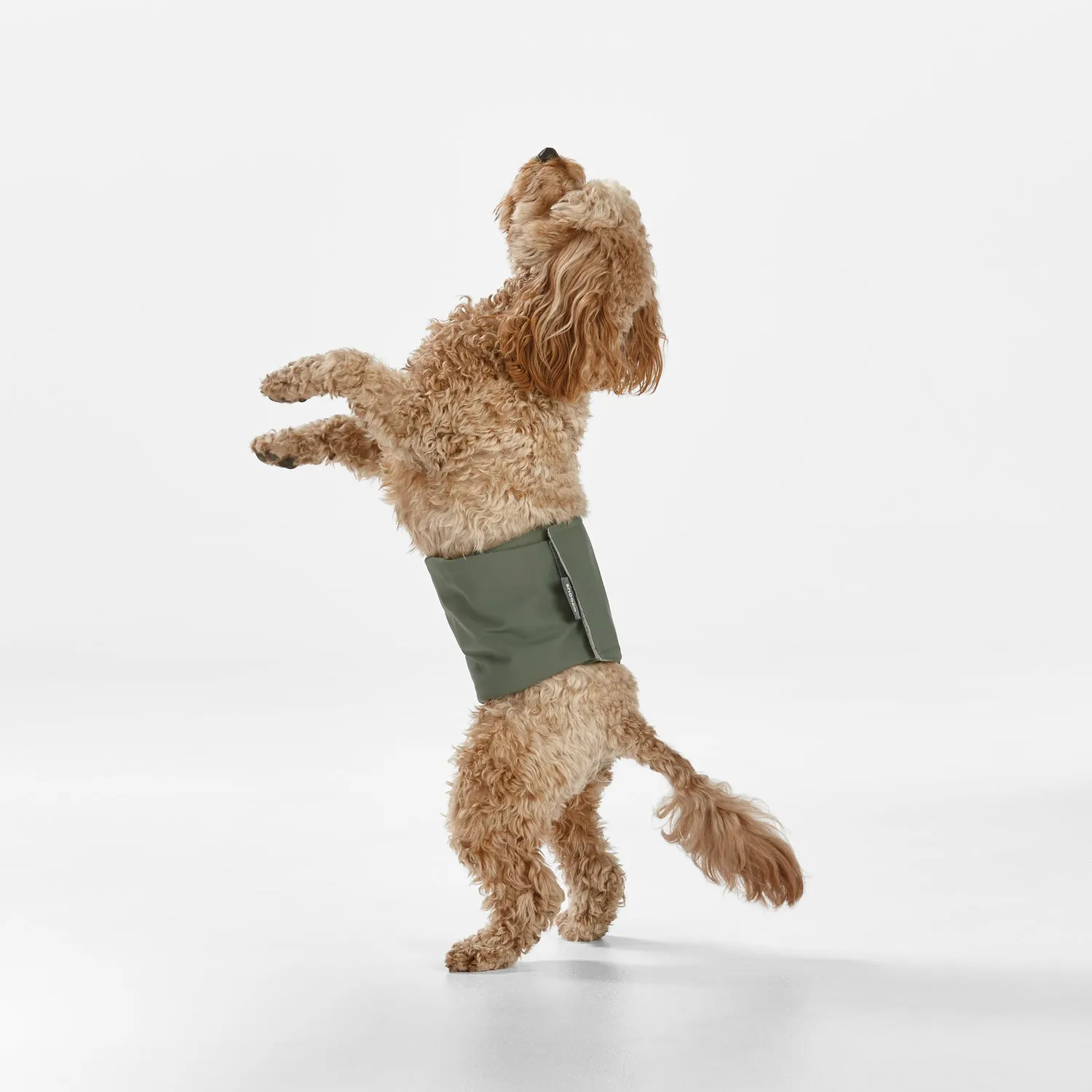 Washable Dog Nappy Band - Twin Pack for Male Dogs